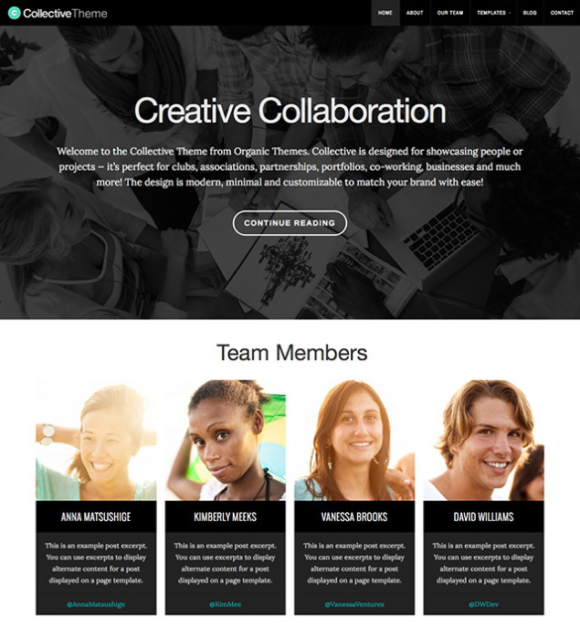 Collective by Organic Themes