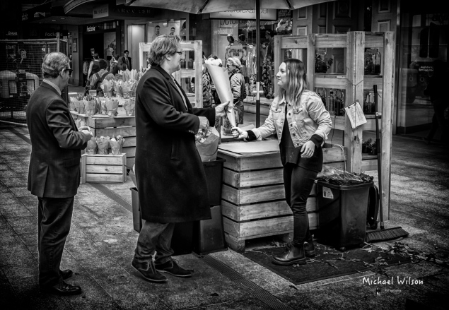 Photo by Michael Wilson