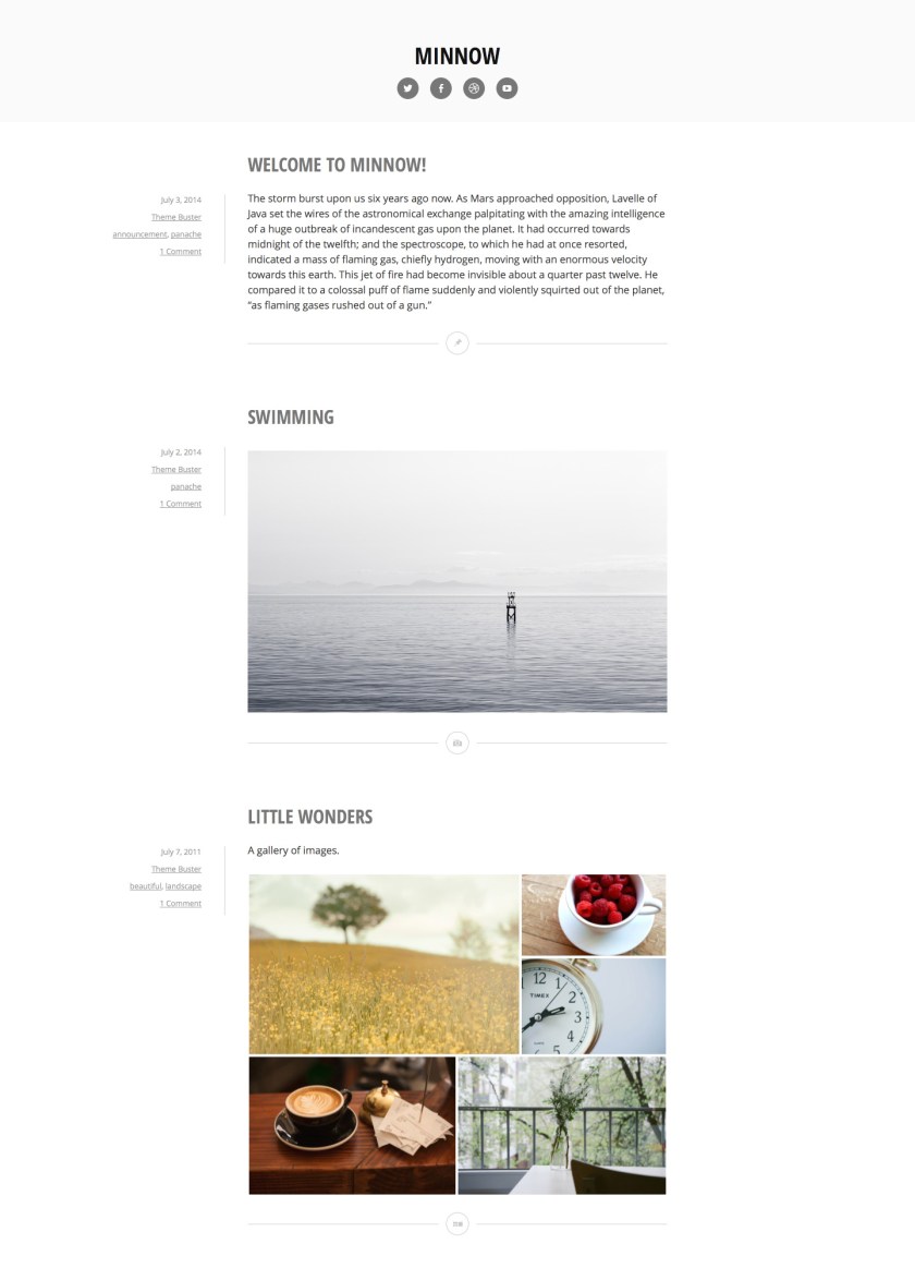 Minnow WordPress Theme