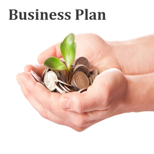 business plan 600600
